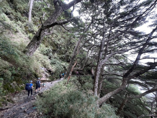 玉山主北 2025 06/07～06/082806369