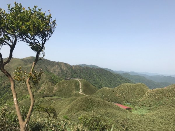 抹茶山、三角崙山、聖母山莊2115181