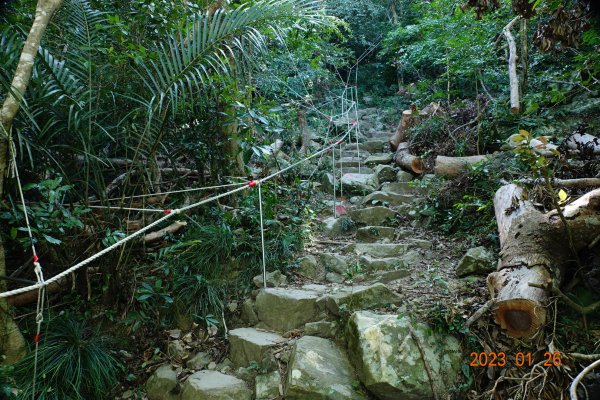屏東 獅子鄉 里龍山(里隆山、里瀧山、鯉龍山)、下里龍山2018516