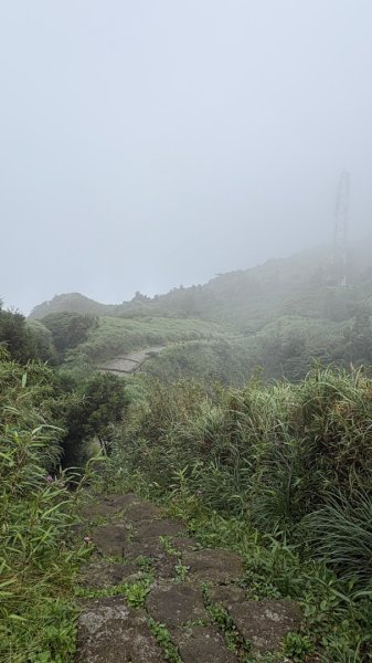夢幻七星3074407