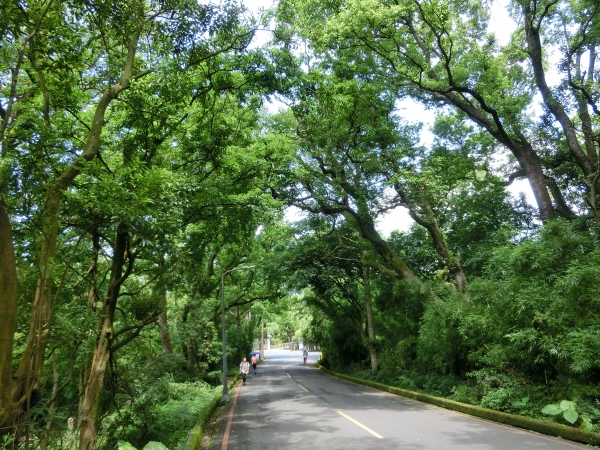 陽明書屋．大屯瀑布．陽明公園．第二停車場94483