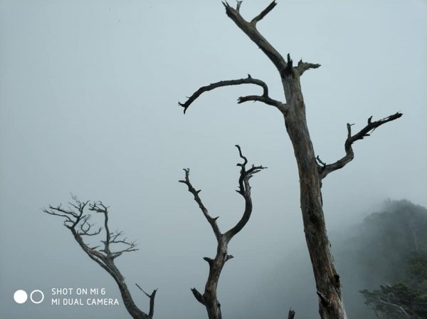 2018老公的生日禮物446799