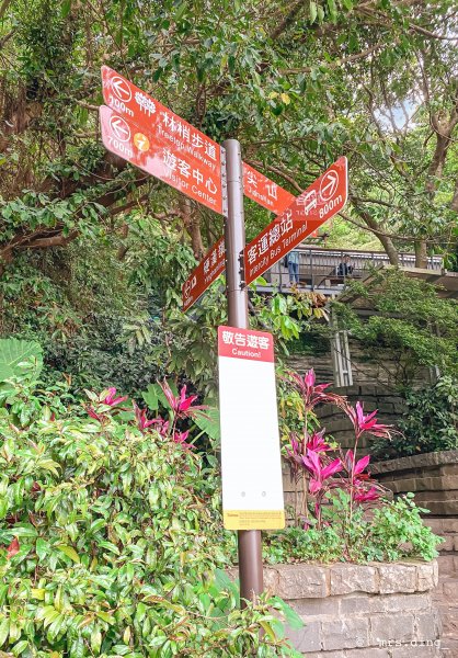 ＜小百岳＞新北市．觀音山(硬漢嶺)915010