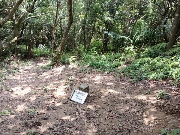 內湖區大丘田保甲路+開眼山+白石湖山+白石湖山東峰+大邱田山+消防山O型2858939