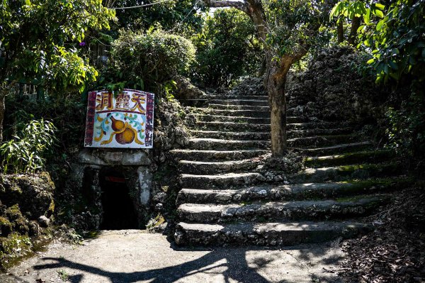 大崗山步道｜小百岳2812780