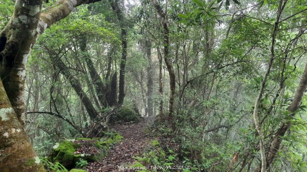 《雲林》望好望角｜石壁山嘉南雲峰步道(中側登山口）202506072805384