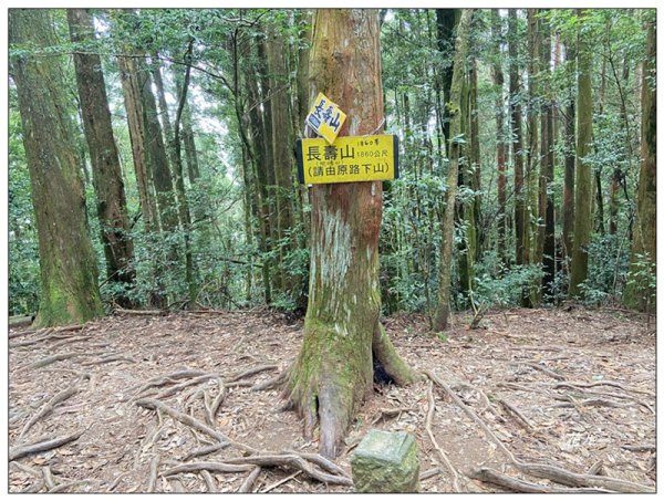 醜崠山、肥崠山(長壽山)、大崠山 三崠連走3100792