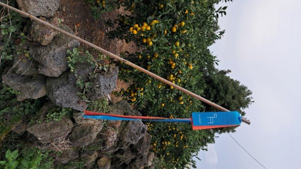 偶來小路走走2942605