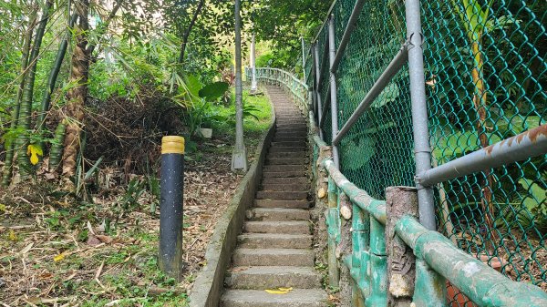 2021-1107 造鎮五城山天上山三粒半永寧1509593