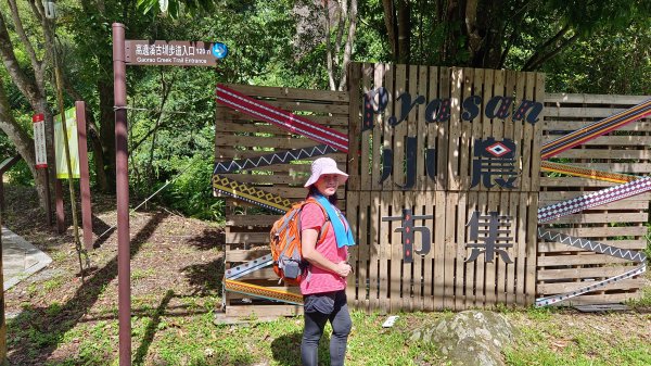 (姨婆趴趴走)第二十一集:桃園復興高遶溪古圳步道、新柑坪山、牛背岩環狀縱走2252284