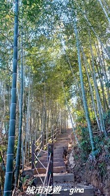 【南投魚池】後尖山步道2968302