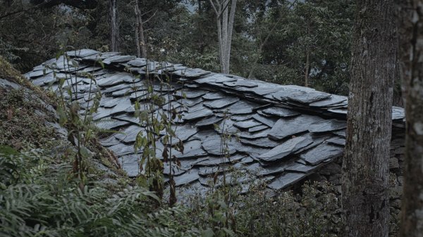 瓦拉米步道-佳心營地住一晚2708474