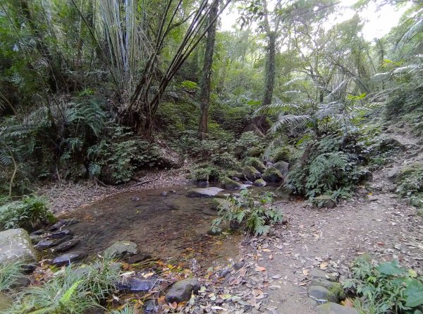 石門山好漢坡-小粗坑-小竹坑古道1279098