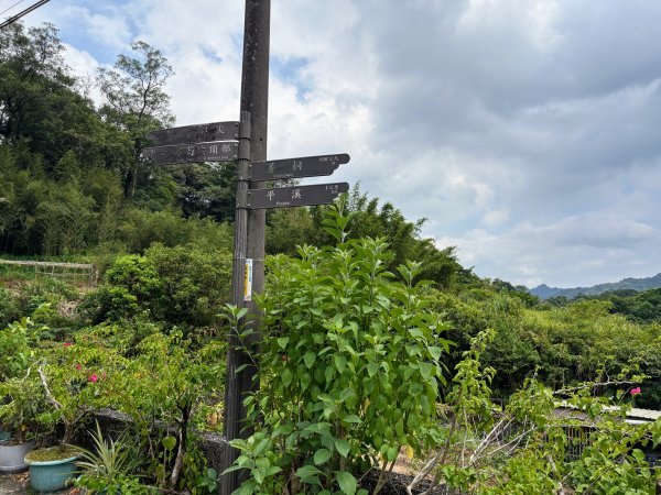 五分山系-菁桐煤礦段2874686