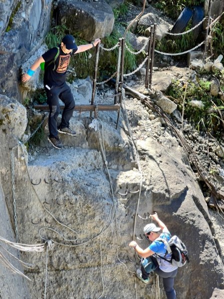 阿里山祝山日出，塔山步道，眠月線1776741