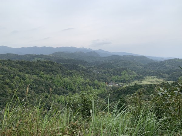 鵲子山（宜蘭礁溪）（小百岳）2530131