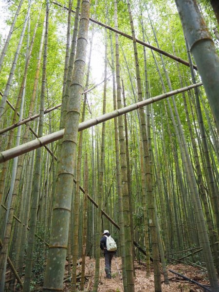 台中鳶嘴西稜上長壽山1860峰2019539451