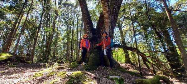 水漾森林、鹿屈山、眠月神木2729642