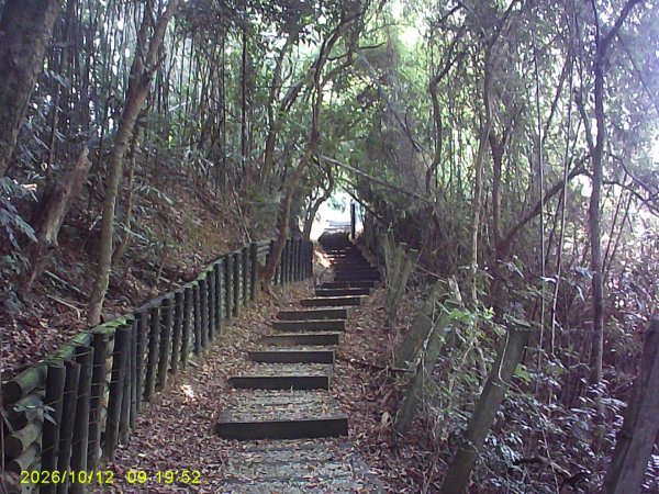 石岡區挑物古道+九房里古道O繞3133659
