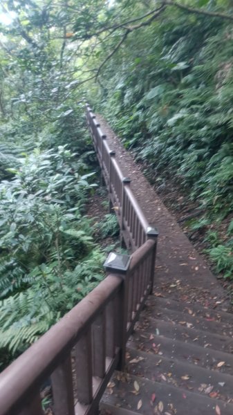 仁山植物園1747604