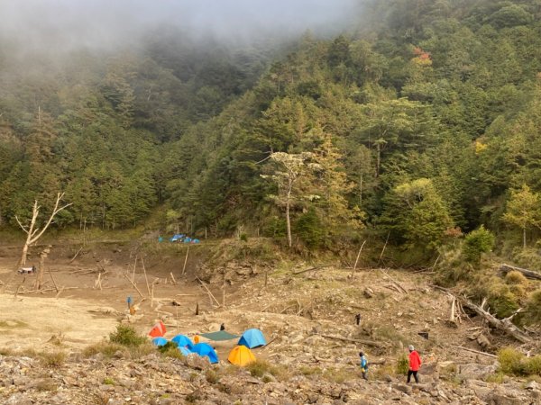 小關山林道上小關山1550033