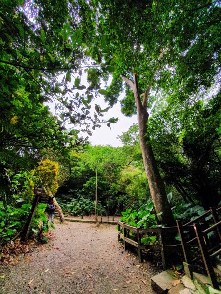 台北大縱走第六段縮減版，富陽生態自然公園，福州山，中埔山東峰，軍功山，拇指山，糶米古道，烏來瀑布1697319