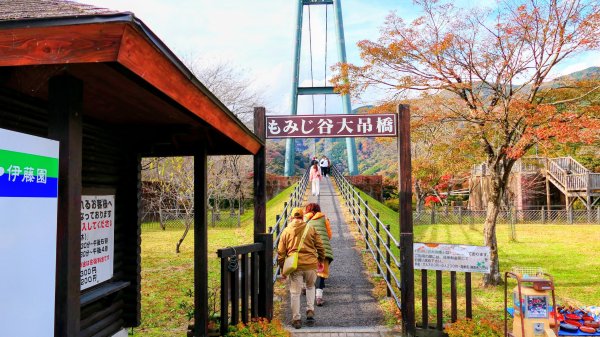 栃木縣紅葉谷大吊橋2930316