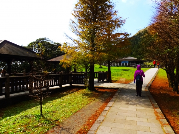 七星山主東峰登山步道82917