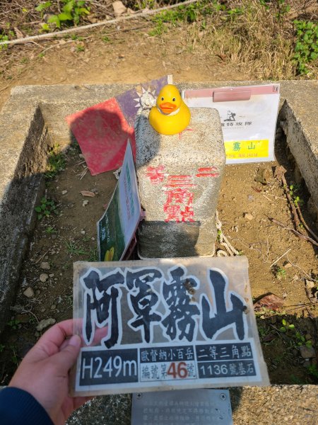 省議會後山步道2730847