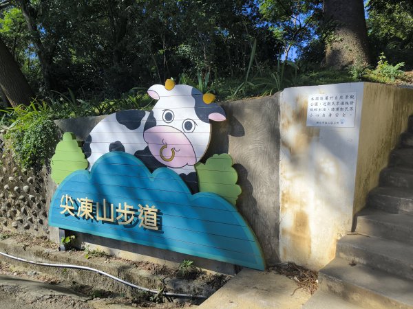20250906泰山辭修公園、尖棟山、69步道、瓊仔胡2879481