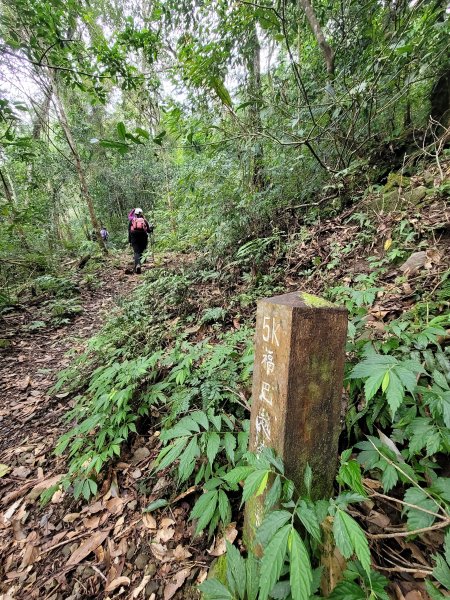 福巴越嶺國家步道2364471