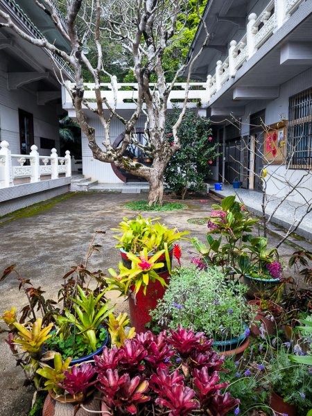 2025-03-08 汶水三山：金童山、汶水山、玉女山 連走2736579