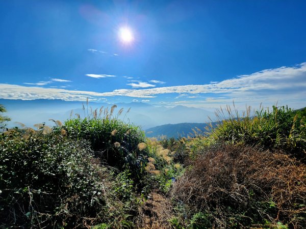 小百岳集起來-雲嘉大尖山2182902