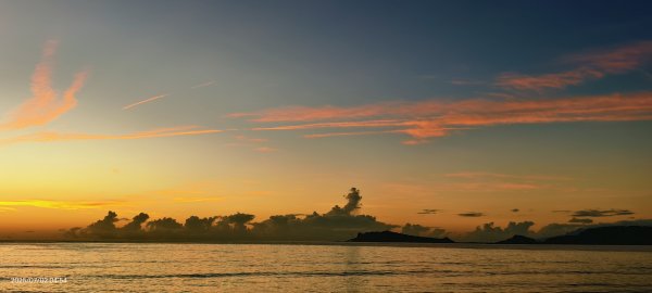 天龍國阿伯的日常-雲山水花鳥蝶  #龜島曉日  #牡丹蓮 #香水蓮  #手機拍攝 賞蝶趣 7/2&32826055