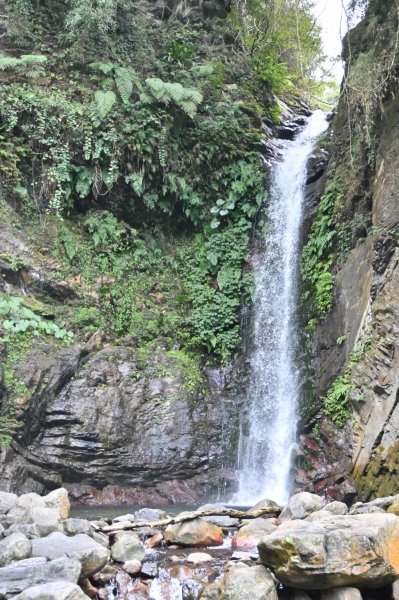 谷關七雄-唐麻丹山2888731