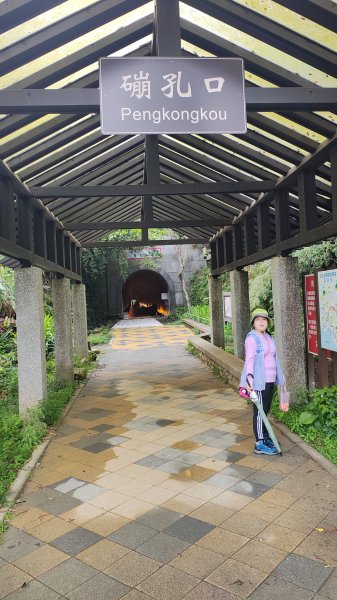 百吉林蔭步道3031337