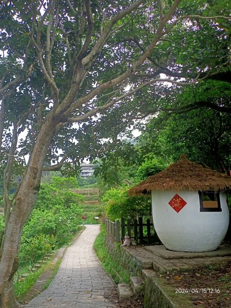 【臺北大縱走7 第二回合】樟山寺→樟樹步道→指南宮貓空親山步道→壺穴步道→茶展中心步道→指南宮→政大2479216