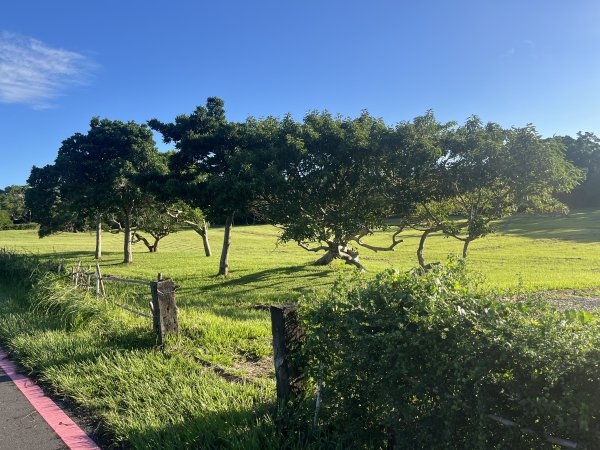 [屏步青雲 尋寶任務-07/10] 2024_1006 社頂自然公園步道2616772