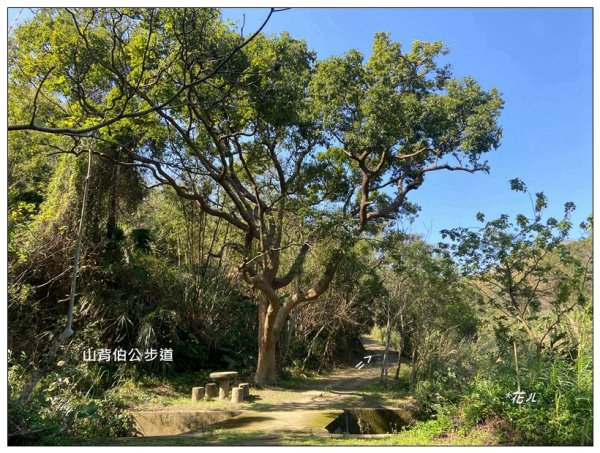 中央尖、山背伯公步道O型路線2708767