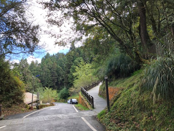 阿里山水山巨木、祝山觀日步道、對高岳步　727037