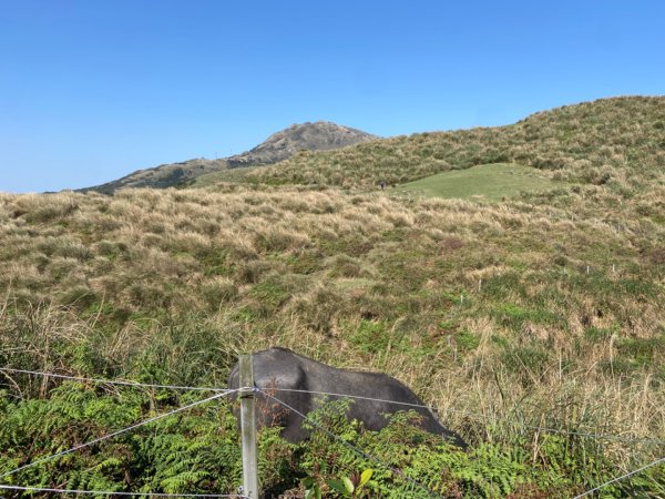 陽明山：石梯嶺步道2746964