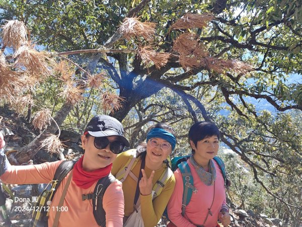 【谷關七雄】波津加(H1771.6m)肉腳配速成功2670444