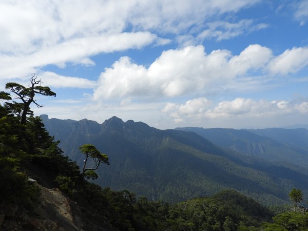 桃山17池有山17O型151093686