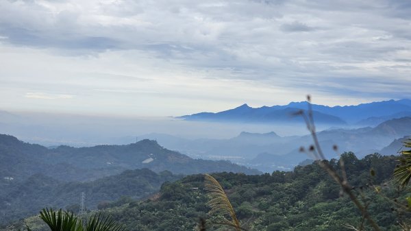 暗影山三進三出2366562