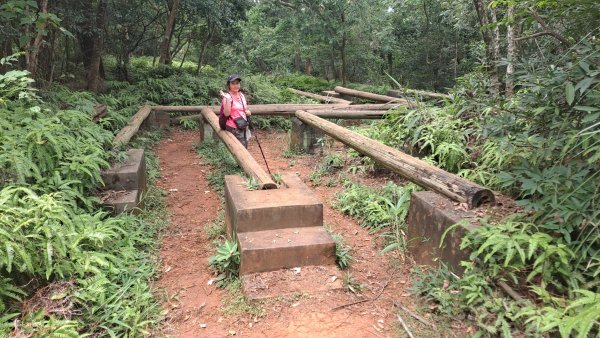 (4/10)蓮華山古道群：飛龍步道，進香步道，採茶古道，載熙古道2247356