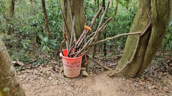 20260127三通嶺山.三義山(大桁茂山).慈濟山.大坪山大O走2990006