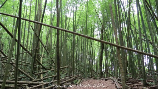 《雲林》望好望角｜石壁山嘉南雲峰步道(中側登山口）202506072805489