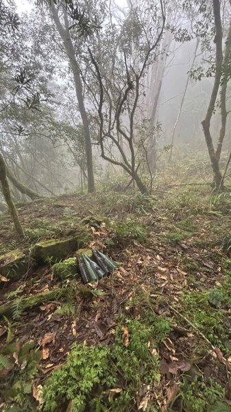 芃芃山西北稜大內台2693954