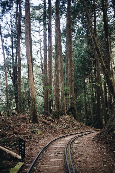 嘉義｜特富野古道1038070