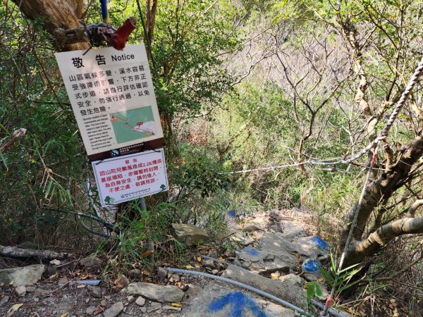 小百岳No.80⛰里龍山2776330